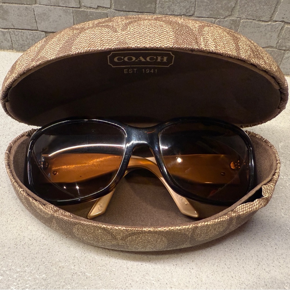 Dior Black and Brown Sunglasses